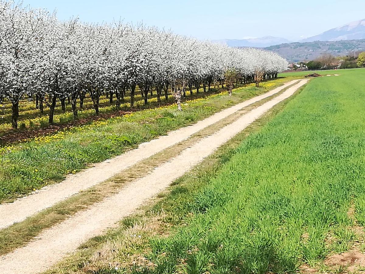 מלון Sant'Andra Borgo Barucchella מראה חיצוני תמונה